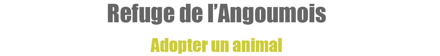 titre site album